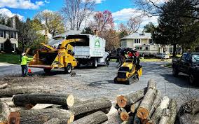Best Arborist Consultation Services  in , IL